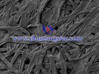 tungsten wire SEM image