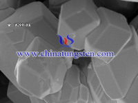 tungsten carbide powder SEM image