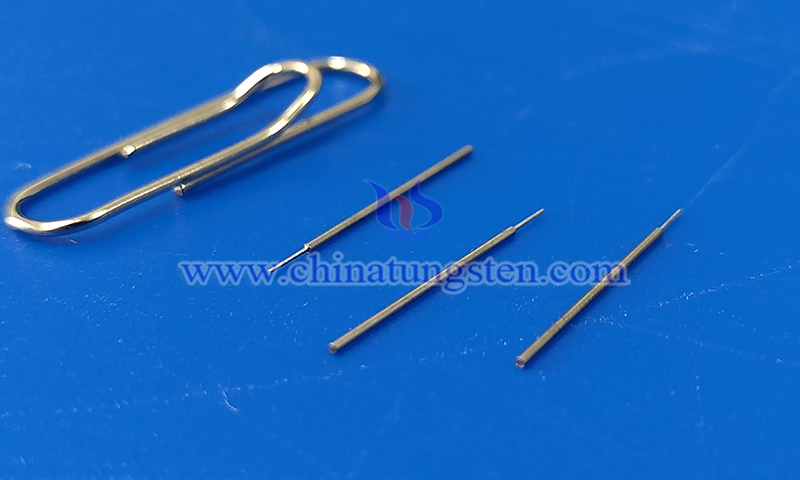 中钨智造钨针在生物医学与神经工程领域的应用图片