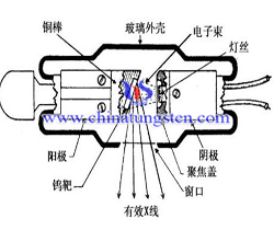 X光機鎢靶